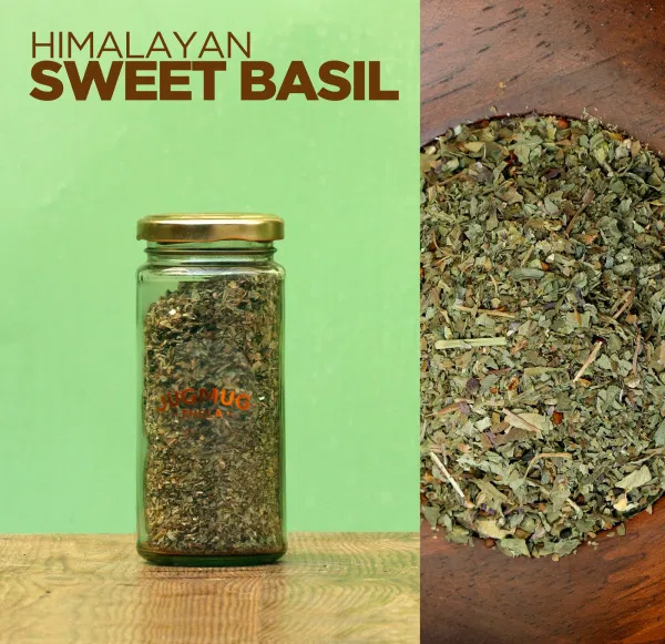 Himalayan-Sweet-Basil-Buy-in-India-Jugmug-Thela