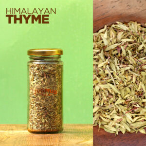 Himalayan-Thyme-Full-Leaf-Gourmet-Culinary-Herbs