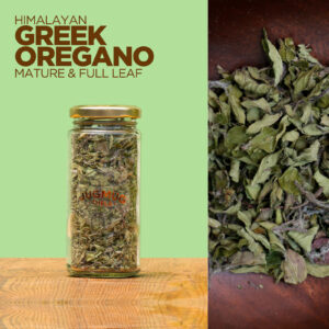 Greek Oregano Full Leaf Mature culinary herb from Jugmug Thela