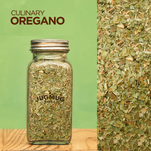 Culinary Oregano ~ Gourmet Herb for Seasoning & Garnish
